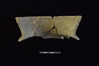 陶罐藏品圖，第2張